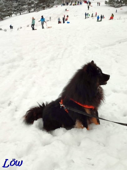 21.1.2023 - Howard auf der Piste